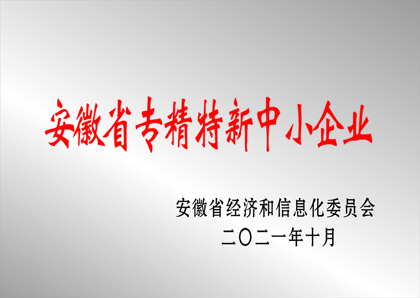 邵陽(yáng)安徽省專精特新中小企業(yè)